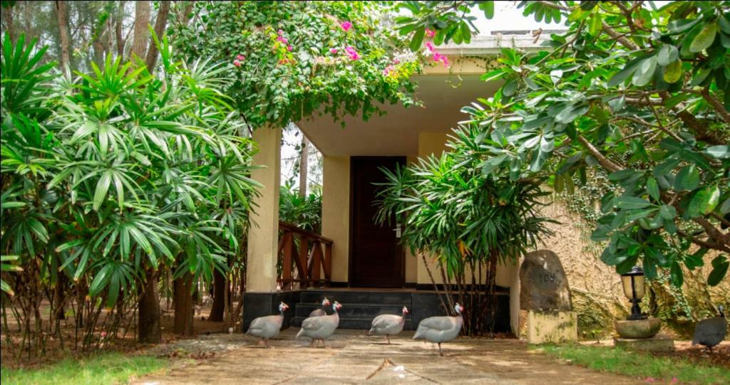 Ocean Spray Hotel Kalapettai ภายนอก รูปภาพ